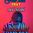 By-now_-_Remake_-_Amapiano Instrumental_CKay_Type Beats_Prod-By-Ray tunes_(+234-9135187082)