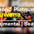 Diamond Platnumz - Zuwena Instrumental  Beat Remark Prod by Desekepi