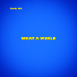 Buddy DML - What A World
