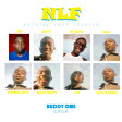 Buddy DML - NLF