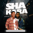 Shakara - Amanam Joe x Balo Wizzy