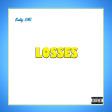 Buddy DML - Losses