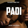 BEAT015 PADI - TML VIBEZ TYPE (PROD BY BAZESTOP)