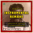 Asake - Organise Instrumental (Prod. By Bazestop +2348137846828)