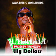 Lily Dollars_Ameayaya