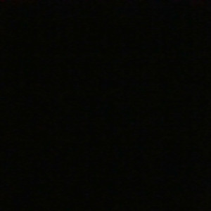 meet our second debuting artist, rtzoey!