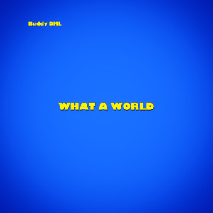 Buddy DML - What A World