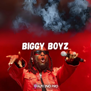 Burna Boy X Omalay TypeBeat "Biggy Boyz" afrobeat type beat 2024