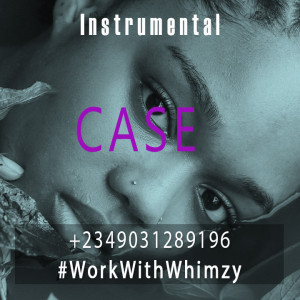 Afrobeat_Instrumental__Case___Davidox_TML Vibez_x_Fola_x_Typebeat_2026