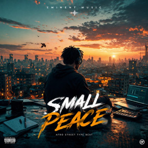 Small Peace | Afro Street Type Beat 2026 | Seyi Vibez x Emotional Afrobeat Type Beat