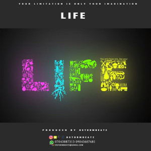 Life - Seyi Vibez x Zinoleesky x Young John Type Beat Instrumental (Prod. by Dstormbeatz)