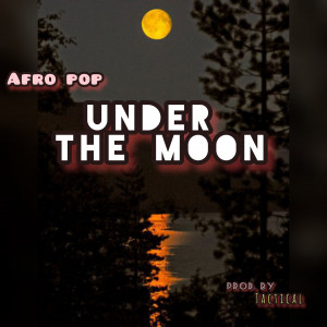 afrobeat under the moon prod.by