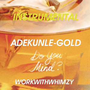 Adekunle_Gold_-_Do_You_Mind-instrumental prod by Workwithwhimzy.mp3