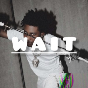 Shallipopi ft zerryDL x famous Pluto Amapiano type beat DM @07063535538 to purchase beat