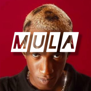 Amapiano2026 instrumental DM for purchase @ 07063535538