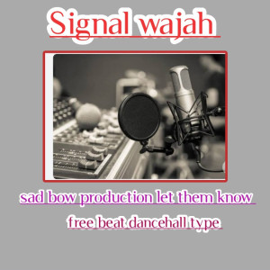 Dancehall Instrumental She Wanna Play Prod By Signal Wajah